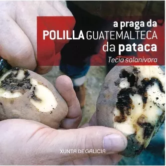 PATACAS.jpg