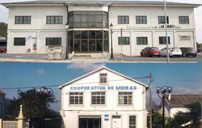 Montaje_Edif_Coop.jpg Montaje_Edif_Coop.jpg