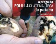 PATACAS.jpg PATACAS.jpg